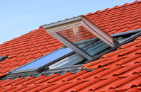 Frankley roof window